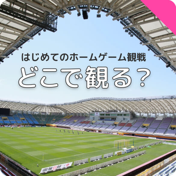 はじめてのホームゲーム観戦 どこで観る？