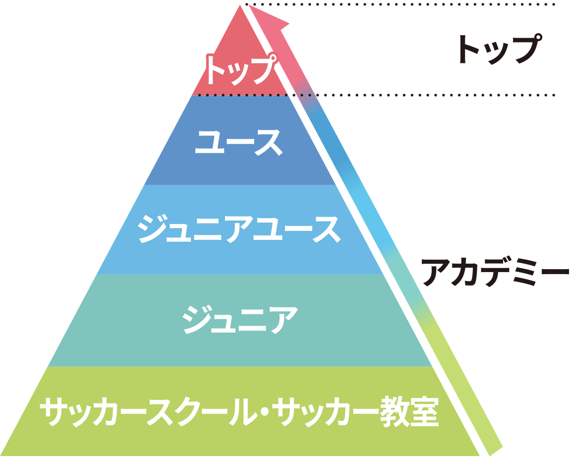 一貫指導体制の概念（抜粋）　トップ←ユース←ジュニアユース←ジュニア←サッカースクール・サッカー教室